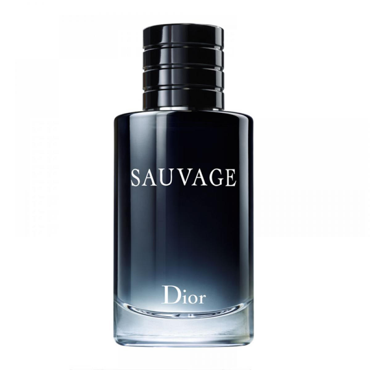 عطر ادکلن دیور ساواج-ساوج-ساواژ | Dior Sauvage